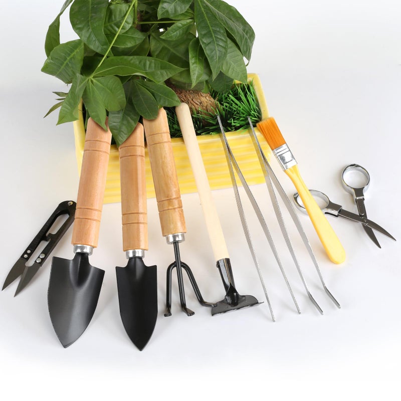 LIHAO 9PCS Basic Bonsai Tools Set, Bonsai Tree Kit Mini Garden Tools Includes Pruning Shears, Mini Rake, Fold Scissors and More - Image 3